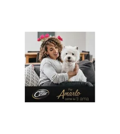 Alimenti Umido Cane-Alimento umido per cani cesar con pollo e tacchino 150 gr