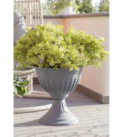 Bama Calice alba d. 33 grigio New