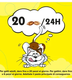 Alimenti Secco Gatto-Catisfaction mix con pollo e anatra - 60 grammi.
