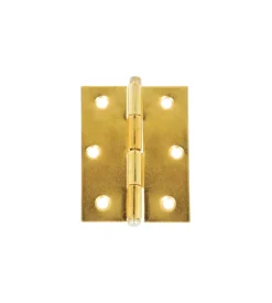 Cerniere con spina a levare in ferro ottonato 30x30 mm. 2 pz. Sale