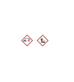 Detergente antimuffa per superfici "muffa stop" 250ml Online