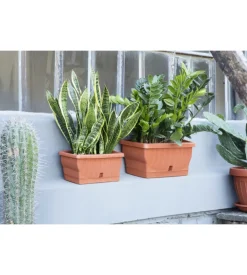 Bama Fioriera natura cm. 30 terracotta