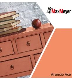 Max Meyer Smalti All' Acqua-Smalto all'acqua acril-poliuretanico "brillante" colore arancione ace, 125 ml