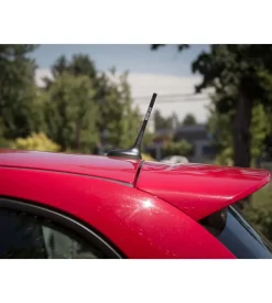 Sparco Auto Interno-Urban opc14160001 antenna radio fm universale auto nera
